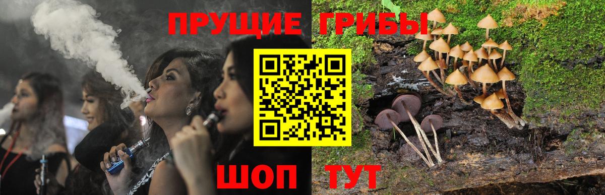 Псилоцибиновые грибы мицелий Лянтор