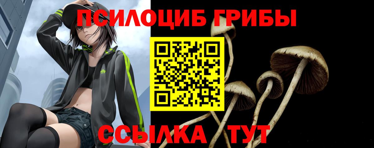 Псилоцибиновые грибы Cubensis  Вход с VPN  Лянтор 